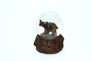 Obrázek z Medvěd hnědý - sněžítko 4,5cm(6) 